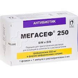 Мегасеф 250 мг 2 мл № 1, порошок для инъекций