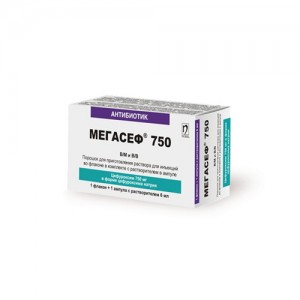 Мегасеф 750 мг 6 мл, порошок для инъекций во флаконе